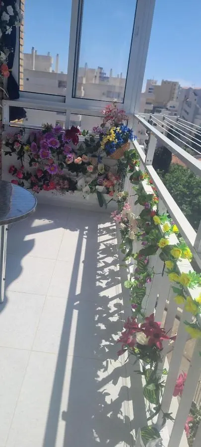 Homestay Acuario Shared Flat Piso Compartido Est Partage الشقة مشتركة Apartment Benalmadena